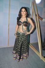 Sunny Leone at the Music Launch of Shootout at Wadala in Inorbit, Malad, Mumbai on 19th March 2013 (119).JPG